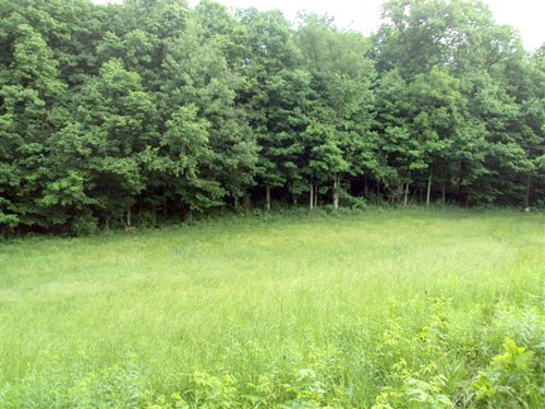 Property photo 7 - 120 Acres Offered in 9 Tracts - Real Estate & Personal Property Auctions